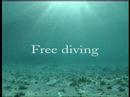diving in Red sea - Luxury safari boat Miracle1