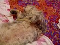 20091019 213