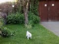 Chelsea trenuje hlavicky.http://www.parson.sk