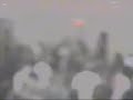mariscos de la ujgh   