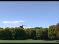 Gyro Bee Autogyro for Clear View FS