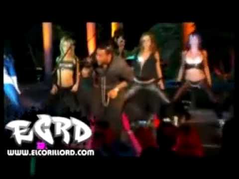 Video Comenzó el Bayu Don Omar 0 Video Comenzó el Bayu Don Omar
