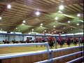 RCMP Musical Ride 5