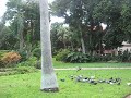 Feeding the Birds at the Park