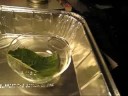 Norb the Orb Weaver