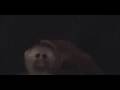 Mr Monkey - EPISODE 1