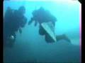 CADSAC dives Wales 2000