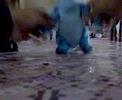 Baile de Sully Baile de Sully