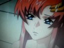 Lacus's beautiful soul