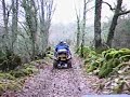 Rando Quadimania