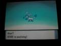 Shiny Eevee Evolves into Glaceon