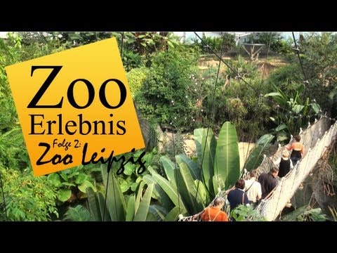 Zoo Leipzig - Zoo Erlebnis #2 - Konzept 