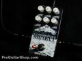 Blackout Effectors Musket Fuzz Pedal