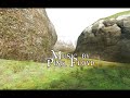 sheep intro beta