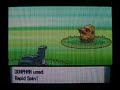 Shiny Nosepass w/ Pokeradar PLUS SHINY PATCH Shiny Nosepass w/ Pokeradar PLUS SHINY PATCH
