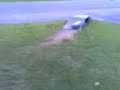 traxxas rustler