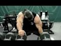 Mike Wolfe Hammer Curls - ALN Strength Training