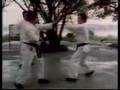 Way of the Warrior - T'ai Chi, the Soft Way [2/4]