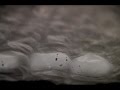 Fantaisie in Bubblewrap