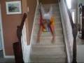 videos de siobhan and tedra [[take three]]