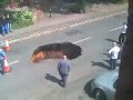 Didsbury hole