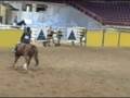 SHN HA Hunter, Geronimo I, trip two.