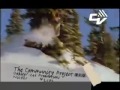 The Community Project teaser The Community Project teaser