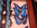 LA Bug Fair \