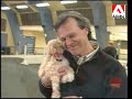 la maternelle
capsule animag avec loisirs canins.

http://www.tele-mag.com/