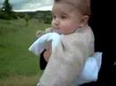 Lou, the video Lou, the video