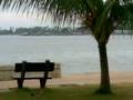 videos de squidward pantai merdeka