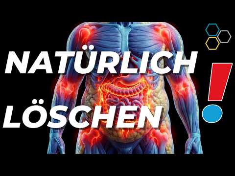 💦 Die Top 10 Entzündungstreiber, die dich krank machen!