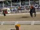 Part 1 of Exhibition SABINE, ANA and 'ILLIAD'at Dressage at