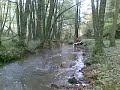 CECTEK GLADIATOR 500 EFI NEL FIUME