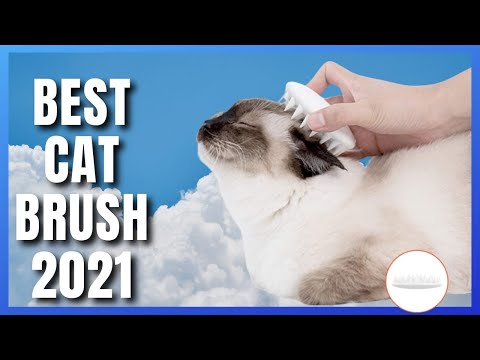 😻 Cat Brush | Best Cat Brush For Shedding 2021 😻