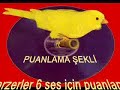 Harzer Roller Cinsi Kanarya Tan?t?m?