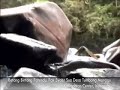 Bapak Syaer Sua. Betang Bintang Patendu Bapak Syaer Sua. Betang Bintang Patendu