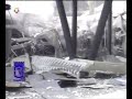 FILOTERRORISMO XXIV -PAZ HECHA CON MUERTOS Y ESCOMBROS -