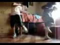 chinitolandia + adictoalajooda = chiniqo bailando electro 2