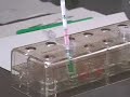 ????????????2006-???????-GM Canola in JAPAN-Screening Test- ????????????2006-???????-GM Canola in JAPAN-Screening Test-