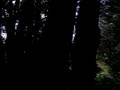 III Vacaciones en Villarrica, Explorando la parcela