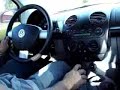 Beetle