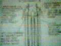 hydrogen andrija puharich water fuel cell pantone meyer