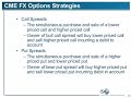 Pt4, John Netto: Winning Options Strategies for the Forex Trader