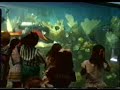 Sharkey's Reef 135,000 gallon Shark tank