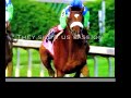 Horse Racing Promo