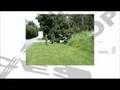 Riz Khan- Street Talk-  24 Sept 07