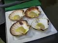 RECETTE Coquilles Saint Jacque par Gilles Epié sur CuisineO