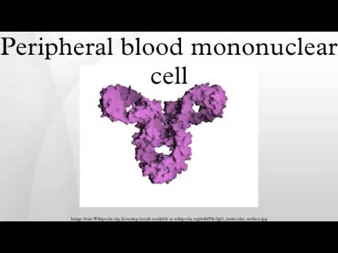 how to isolate lymphocytes from whole blood