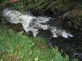 Colligan Gorge Colligan Gorge